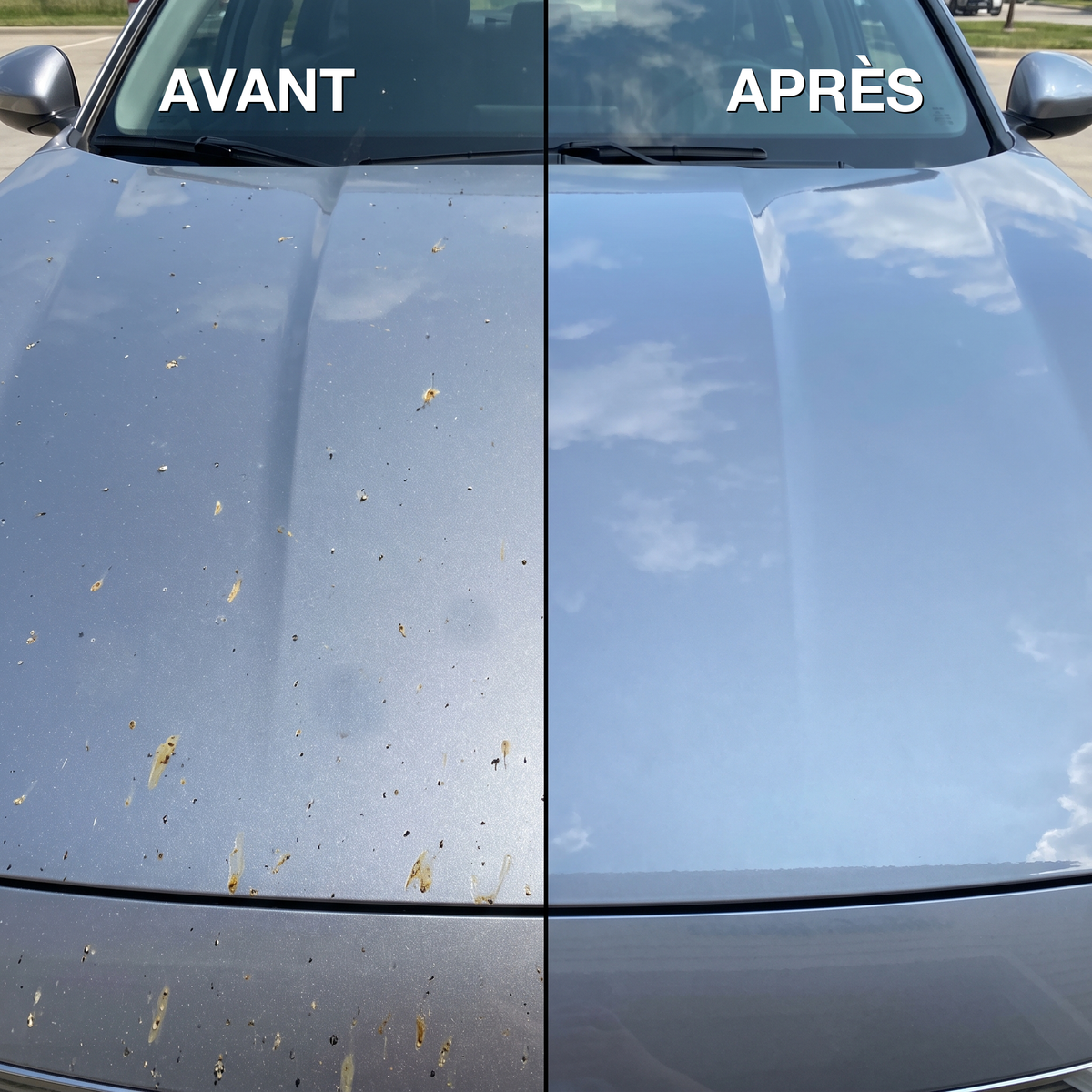 Avant / après démoustiquant MyClear sur capot